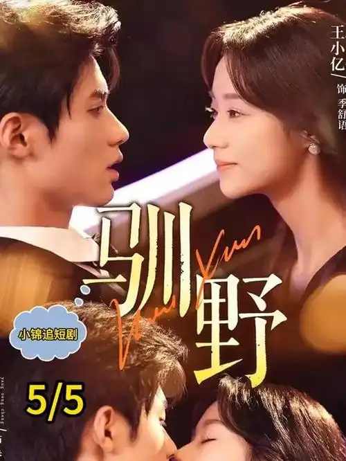 《暗涌之城》最新电视剧全集在线观看